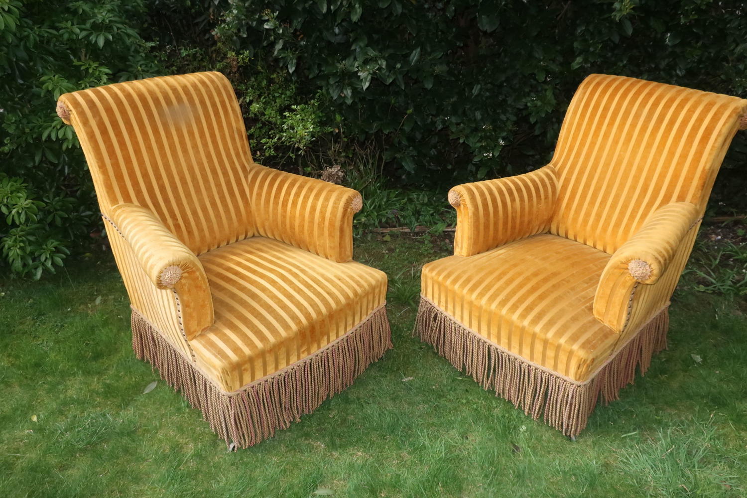 Pair of scroll back armchairs