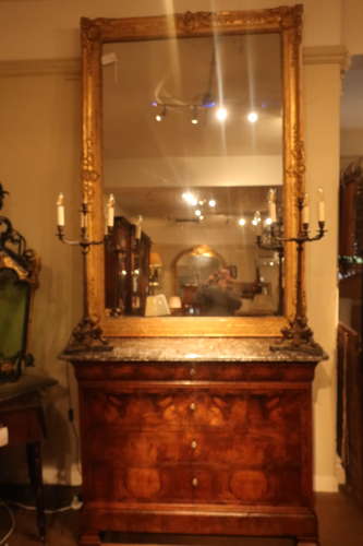 Burr walnut commode