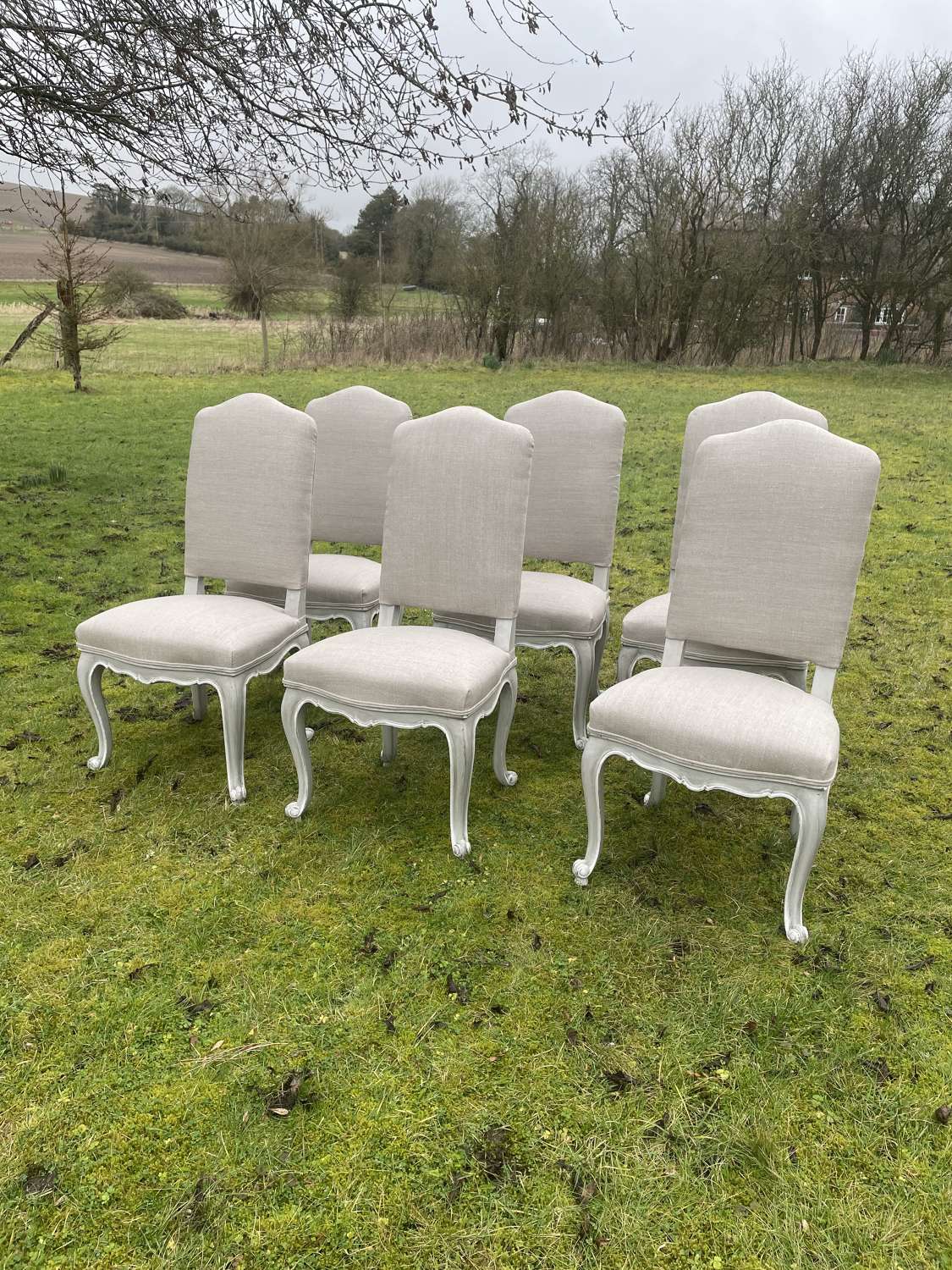 Lovely Set Of 6 French Dining Chairs