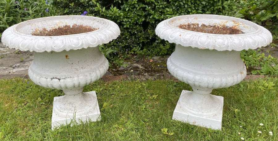 Pair of large 19th Century garden urns