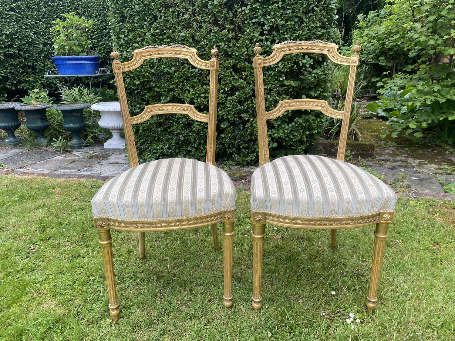 Pair of gilt side chairs
