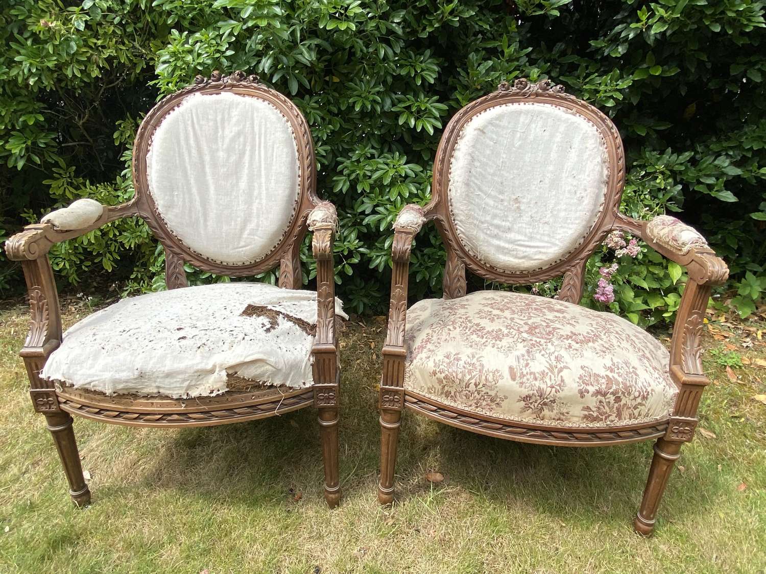 Pair of Louis XVI style armchairs in walnut