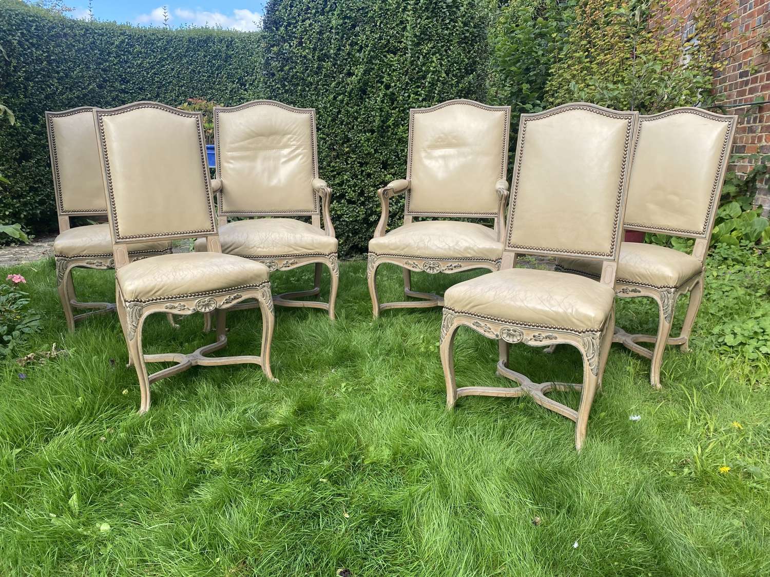 Six cream leather dining chairs