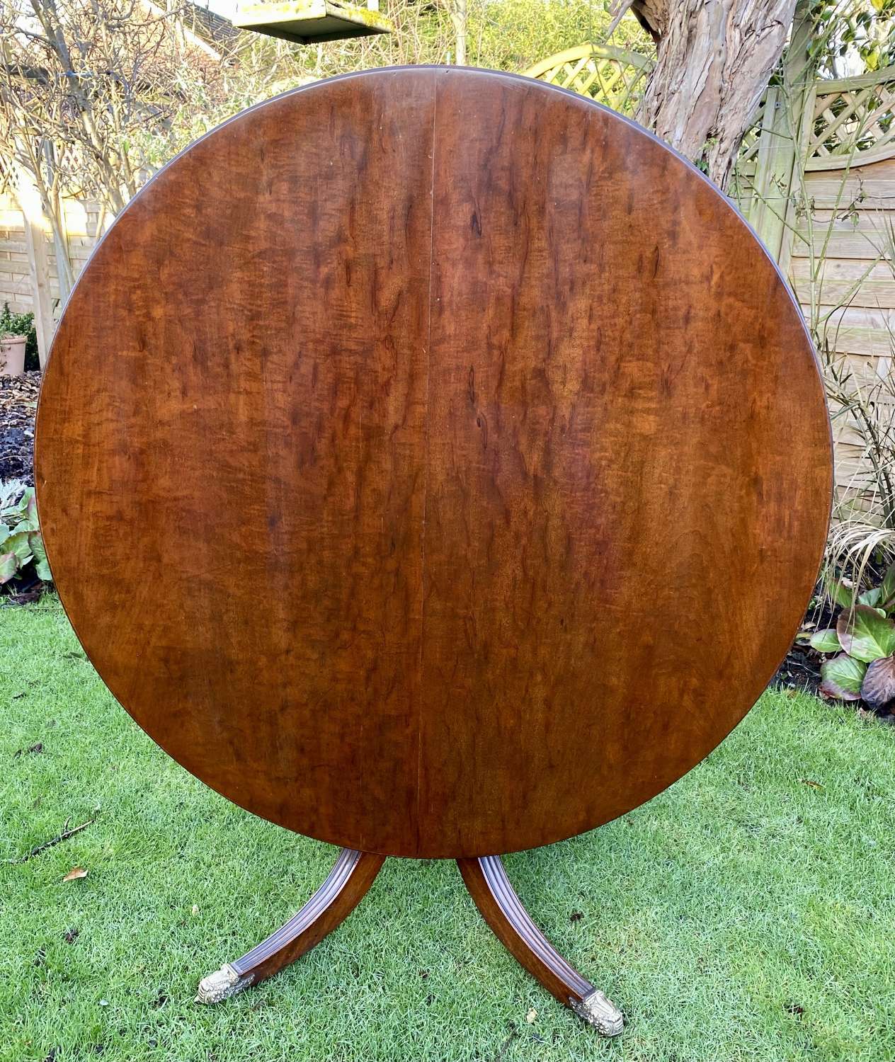 Plum pudding mahogany centre or breakfast table