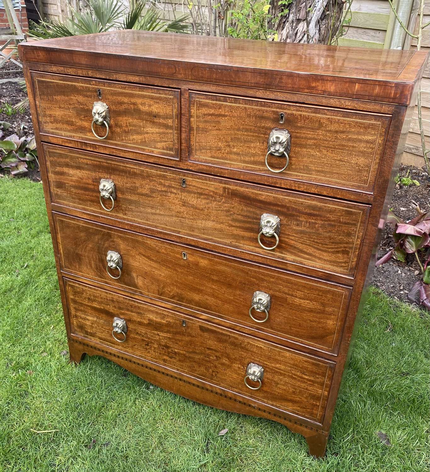 Small regency chest of drawers