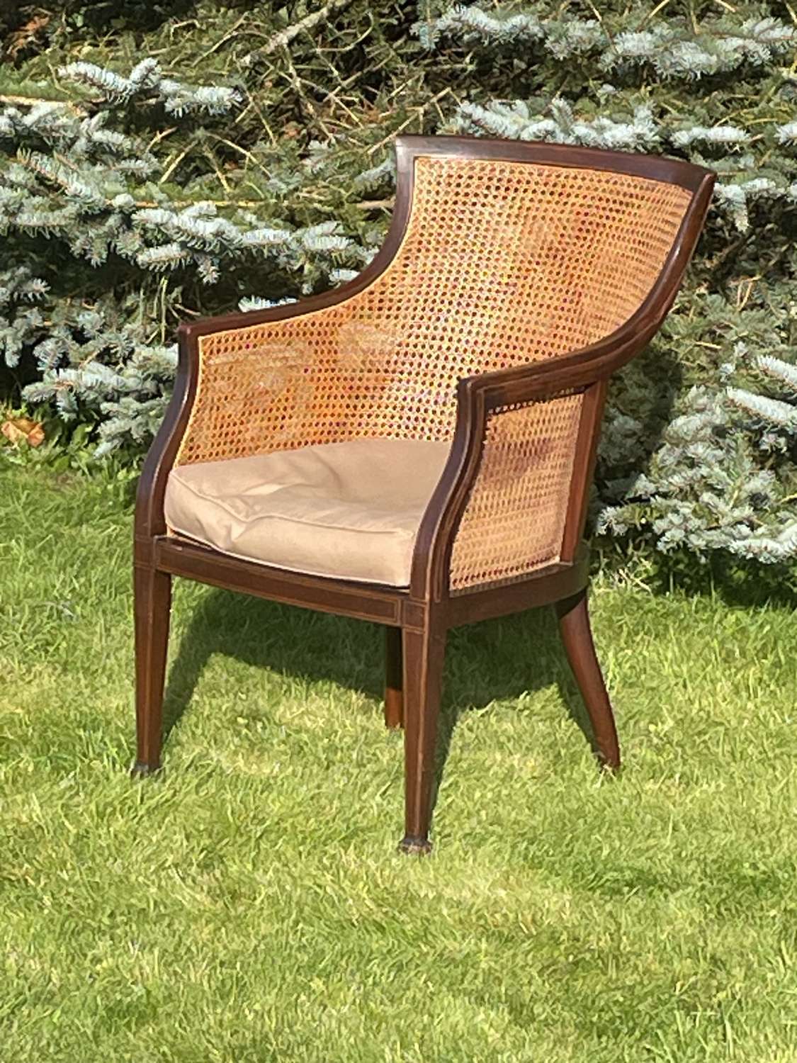 Edwardian Bergere Chair