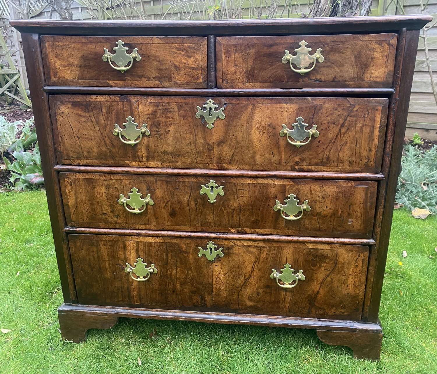 18th Century burr walnut and oak chest of drawers