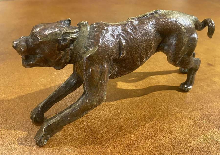 Bronze figure of a bull mastiff type dog