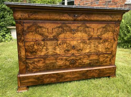 Burr walnut commode
