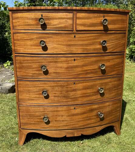 Large Regency Bow fronted chest of drawers